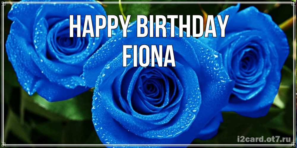 Greetings card с именем, Fiona Happy Birthday розы с синим цветом Greetings with text for free download 