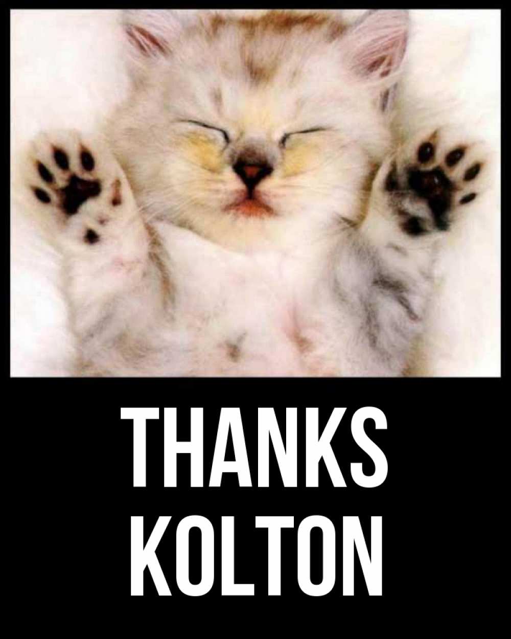 Greetings card с именем, Kolton Thanks маленький котенок Greetings with text for free download 