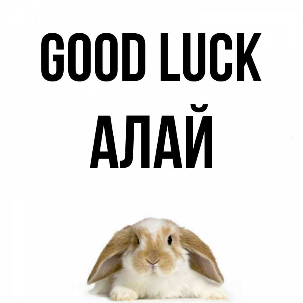 Greetings card с именем, Алай Good luck открытки с произвольным текстом который можно вставить в открытку и создать ее самостоятельно бесплатно онлайн Greetings with text for free download 