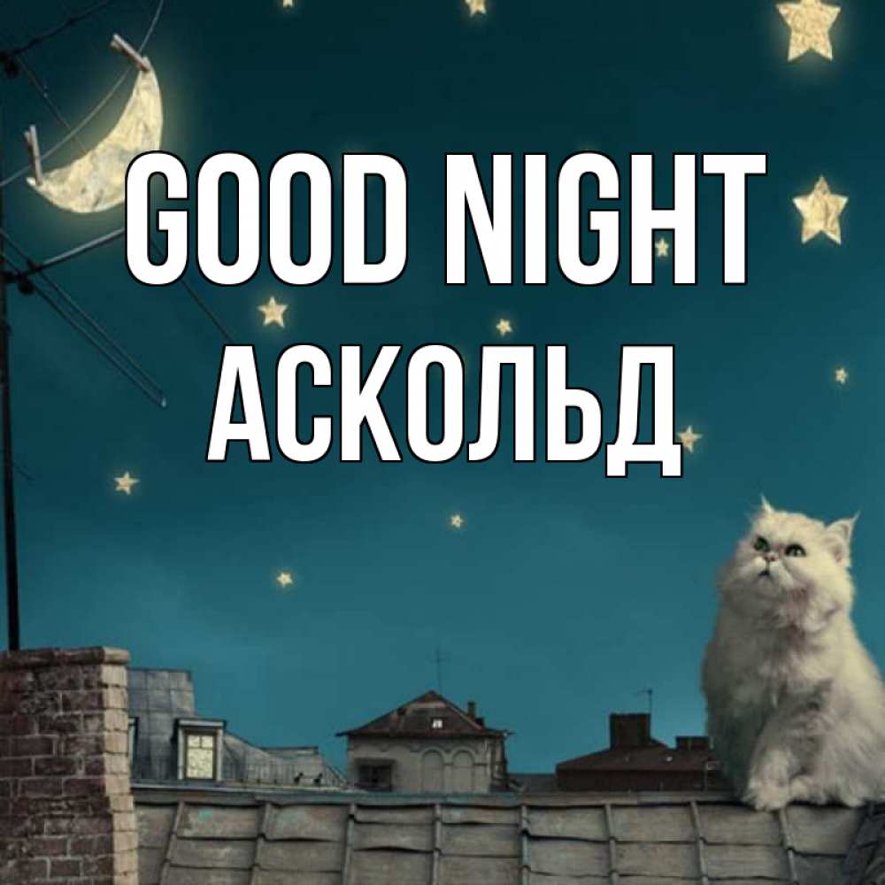 Greetings card с именем, Аскольд Good night белый кот сидит на крыше Greetings with text for free download 