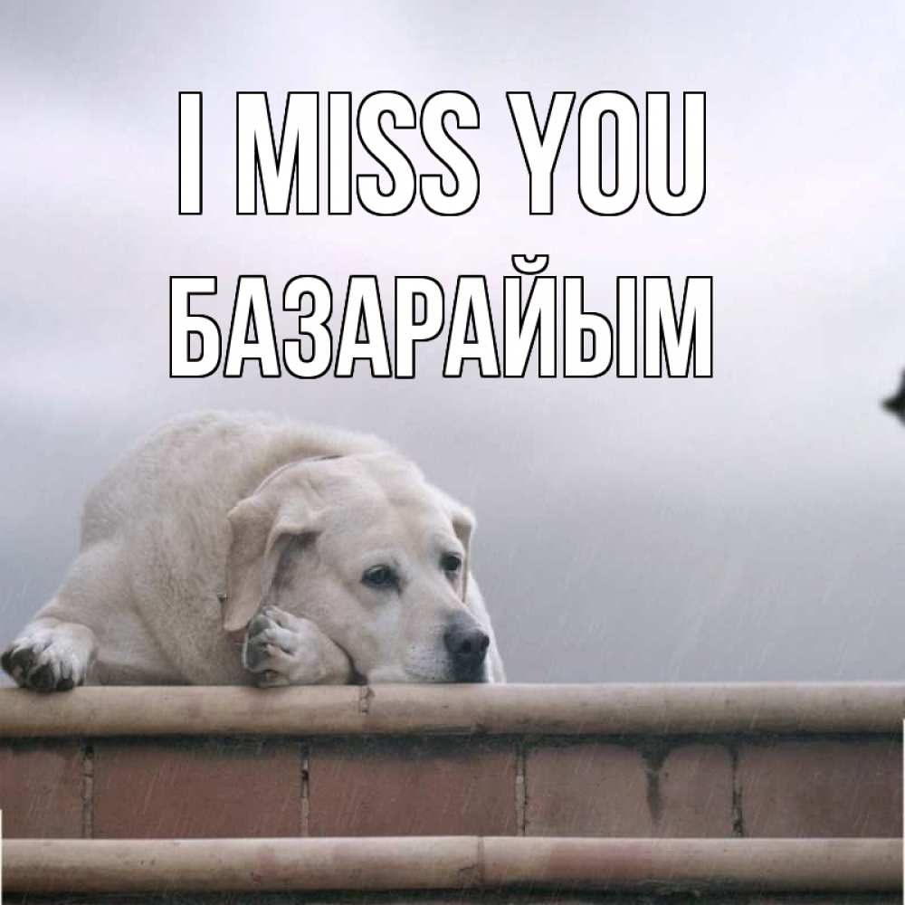 Greetings card с именем, БАЗАРАЙЫМ I miss you ждет Greetings with text for free download 