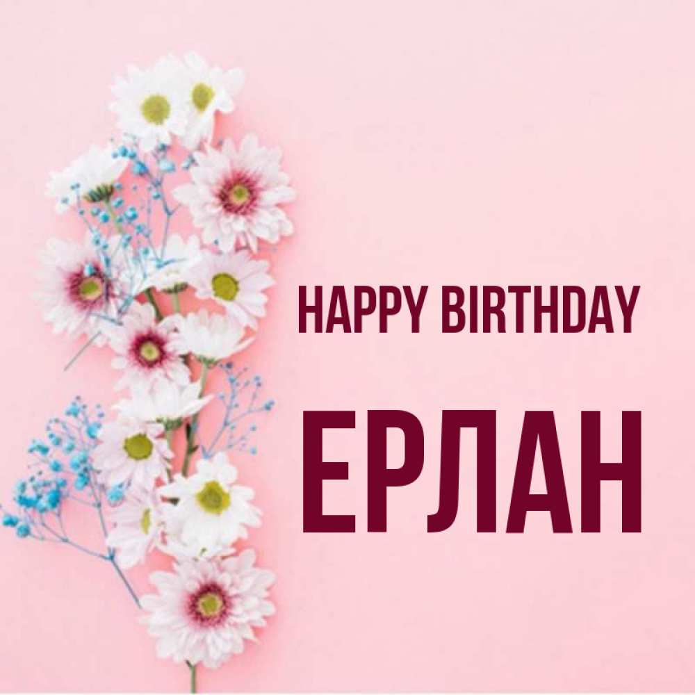 Greetings card с именем, Ерлан Happy Birthday Родная моя с днем рождения тебя картинка с цветами белыми и голубыми Greetings with text for free download 
