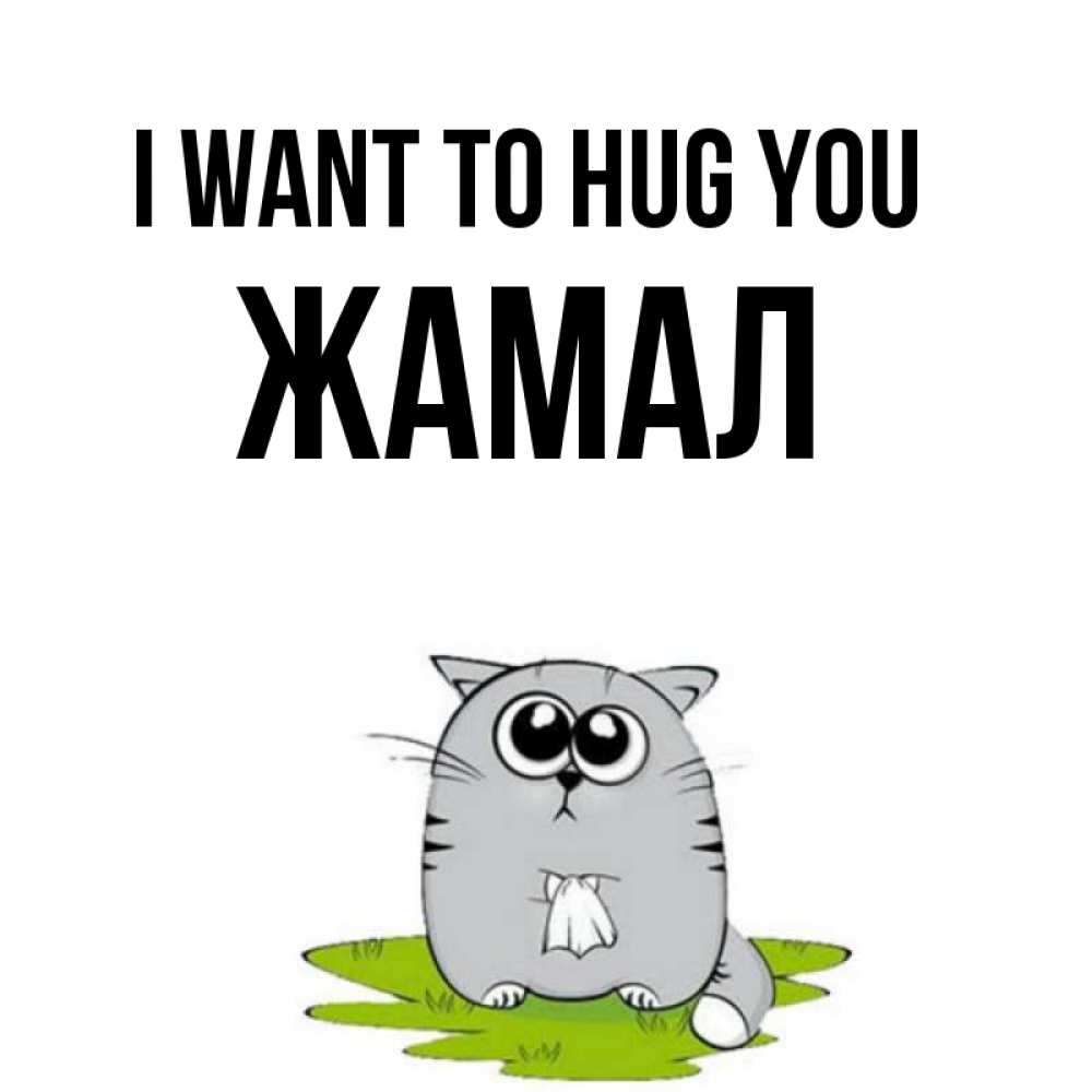 Greetings card с именем, ЖАМАЛ I want to hug you котик теребит платочек сидя на травке Greetings with text for free download 