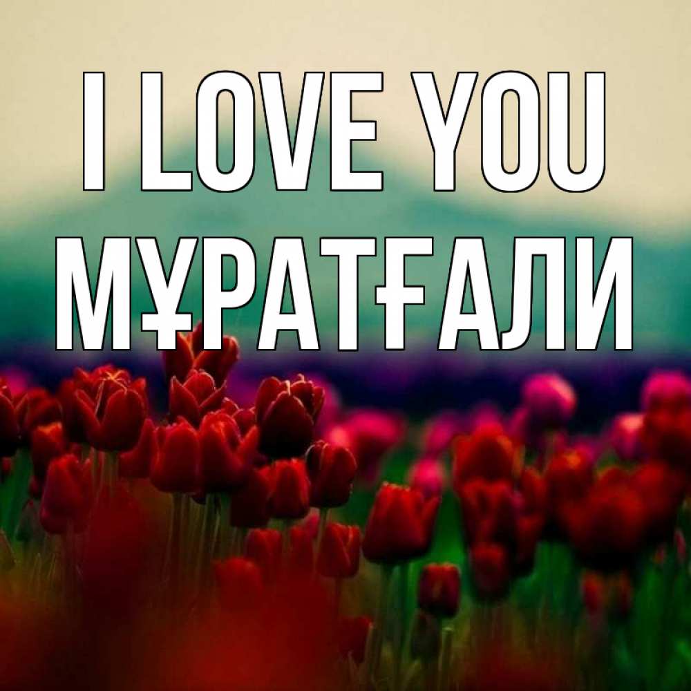 Greetings card с именем, Мұратғали I love you тюльпаны 4 Greetings with text for free download 