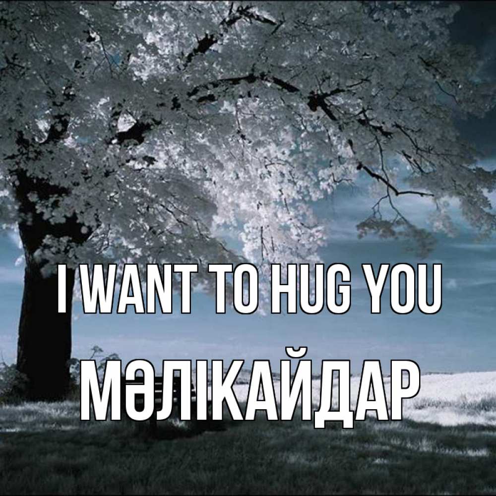 Greetings card с именем, МӘЛІКАЙДАР I want to hug you дерево Greetings with text for free download 