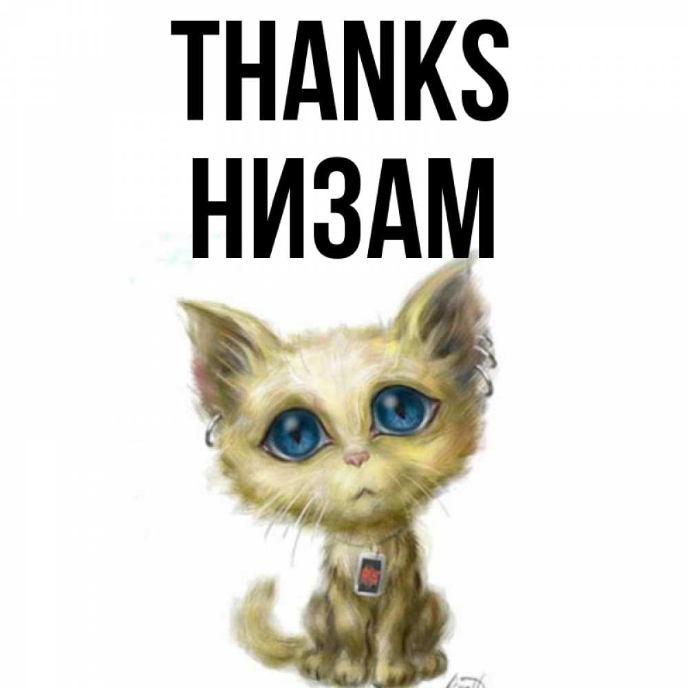 Greetings card с именем, НИЗАМ Thanks рисованный кот благодарит вас Greetings with text for free download 