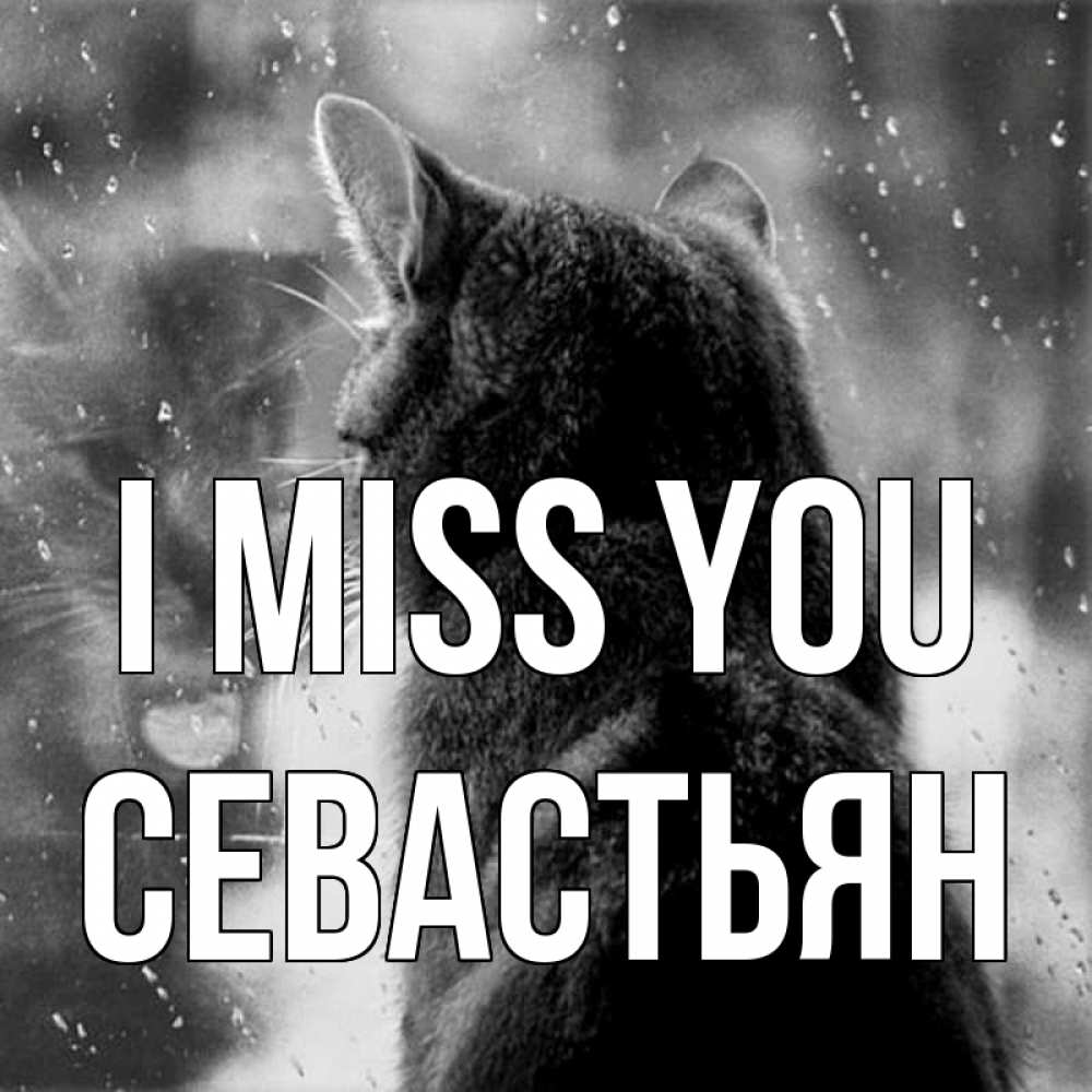 Greetings card с именем, Севастьян I miss you скорее ко мне приходи 1 Greetings with text for free download 
