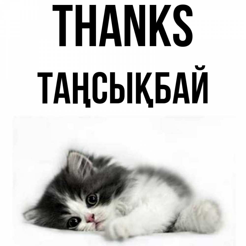 Greetings card с именем, ТАҢСЫҚБАЙ Thanks черный и белый кот Greetings with text for free download 