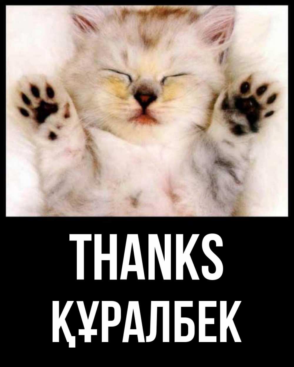 Greetings card с именем, ҚҰРАЛБЕК Thanks маленький котенок Greetings with text for free download 