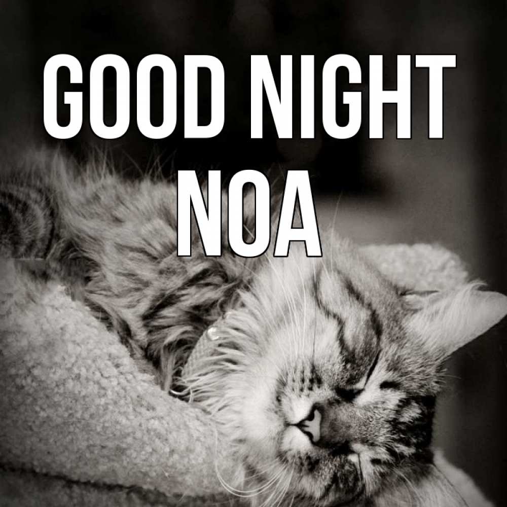 Greetings card с именем, Noa Good night котярик пушистый Greetings with text for free download 