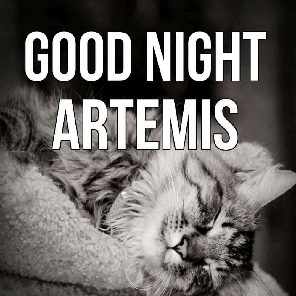 Greetings card с именем, Artemis Good night котярик пушистый Greetings with text for free download 