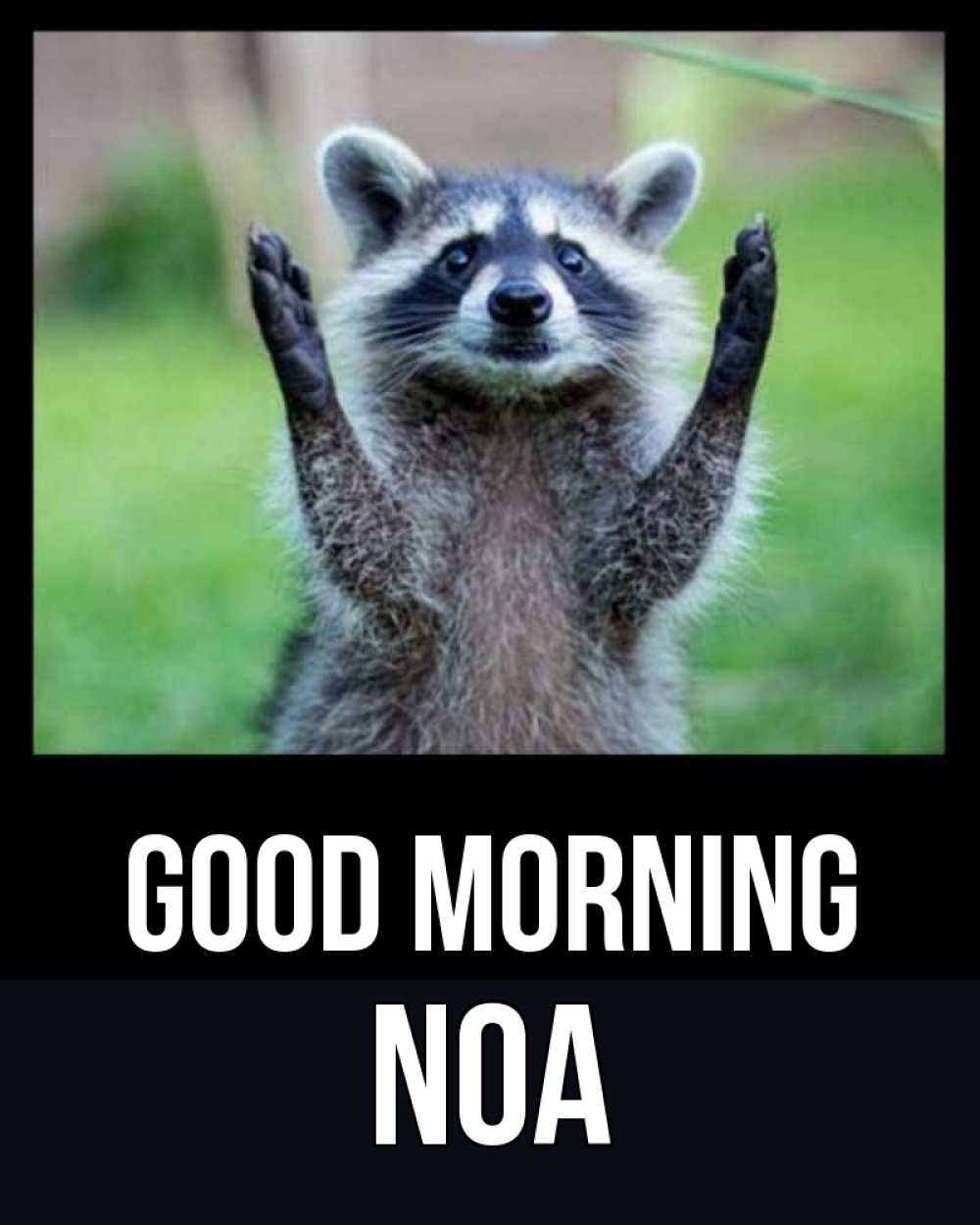Greetings card с именем, Noa Good morning хорошее настроение утречком Greetings with text for free download 