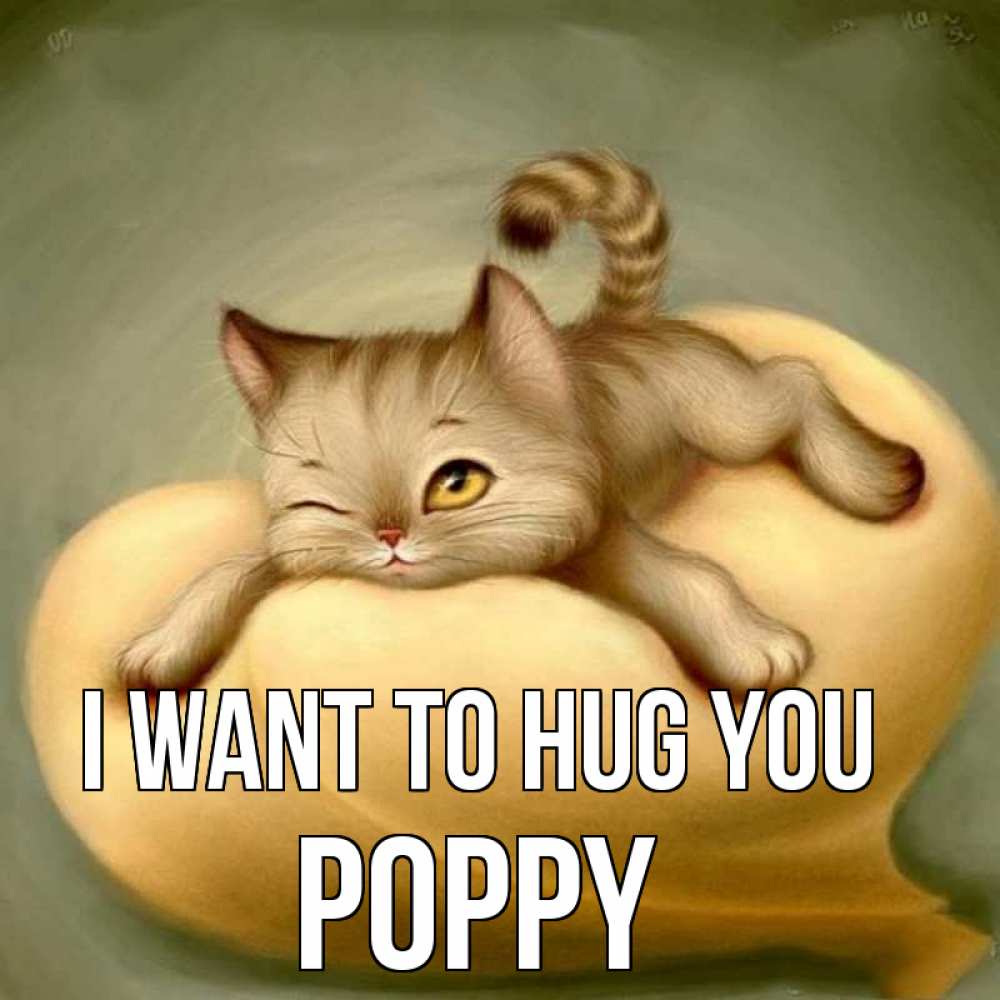 Greetings card с именем, Poppy I want to hug you кошечка Greetings with text for free download 