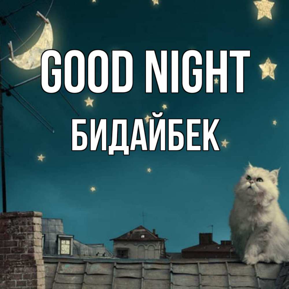 Greetings card с именем, Бидайбек Good night белый кот сидит на крыше Greetings with text for free download 