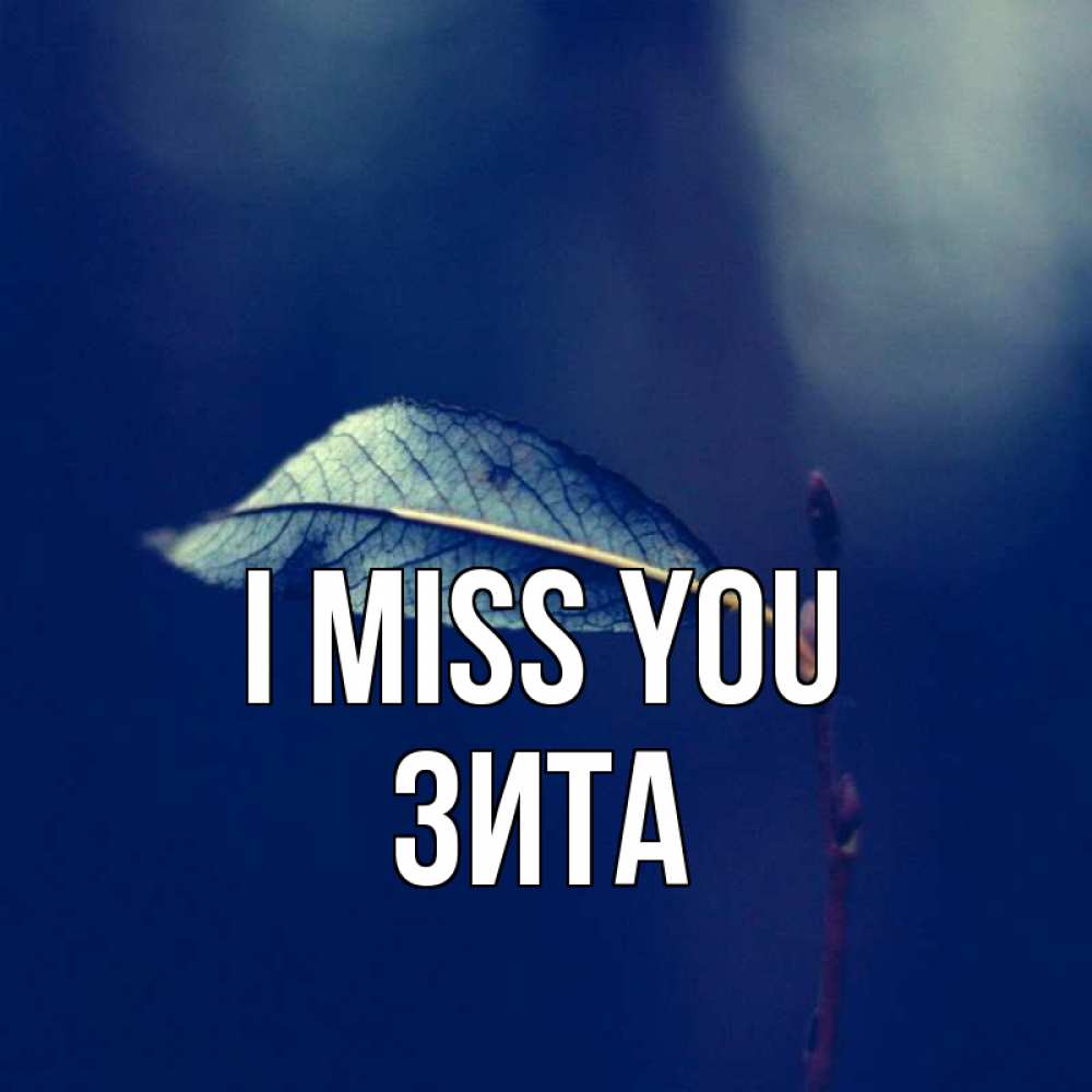 Greetings card с именем, Зита I miss you одна ветка 1 Greetings with text for free download 