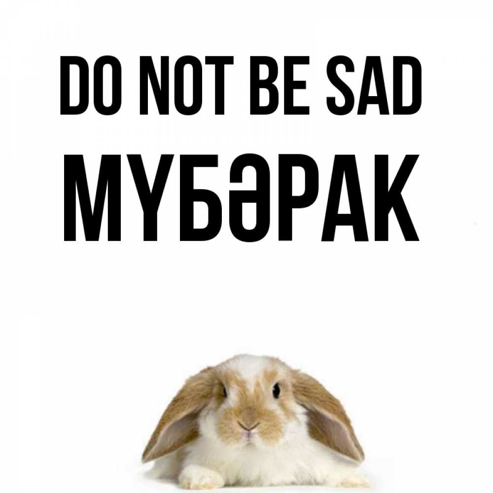 Greetings card с именем, МҮБӘРАК Do not be sad коричнево белый заяц с большими ушками Greetings with text for free download 