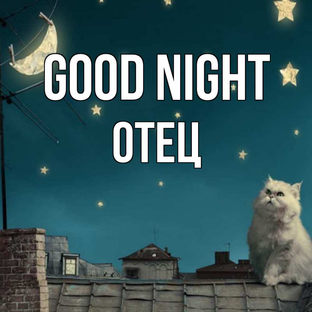 Greetings card с именем, Отец Good night белый кот сидит на крыше Greetings with text for free download 