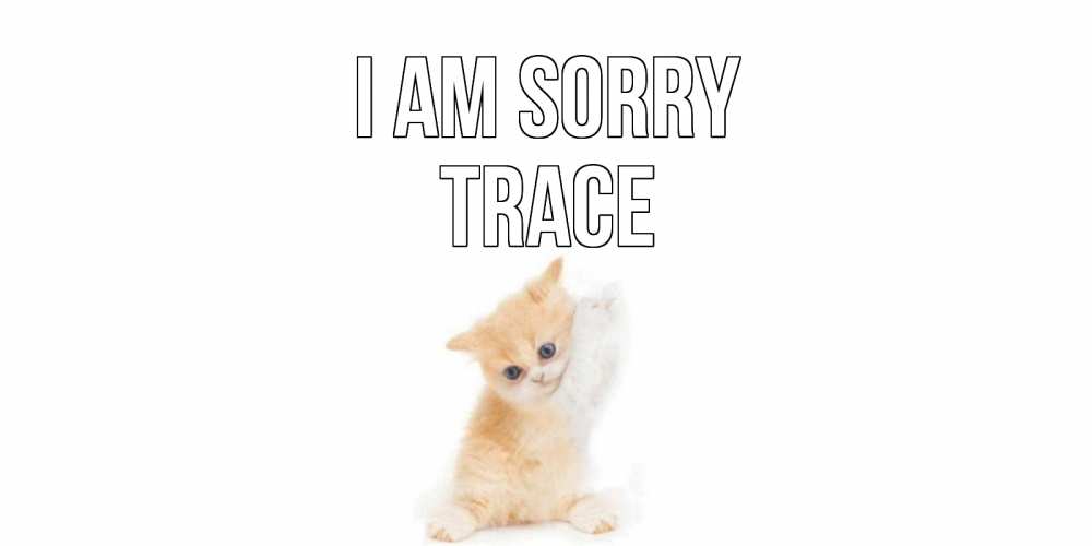 Greetings card с именем, Trace I am sorry кот Greetings with text for free download 
