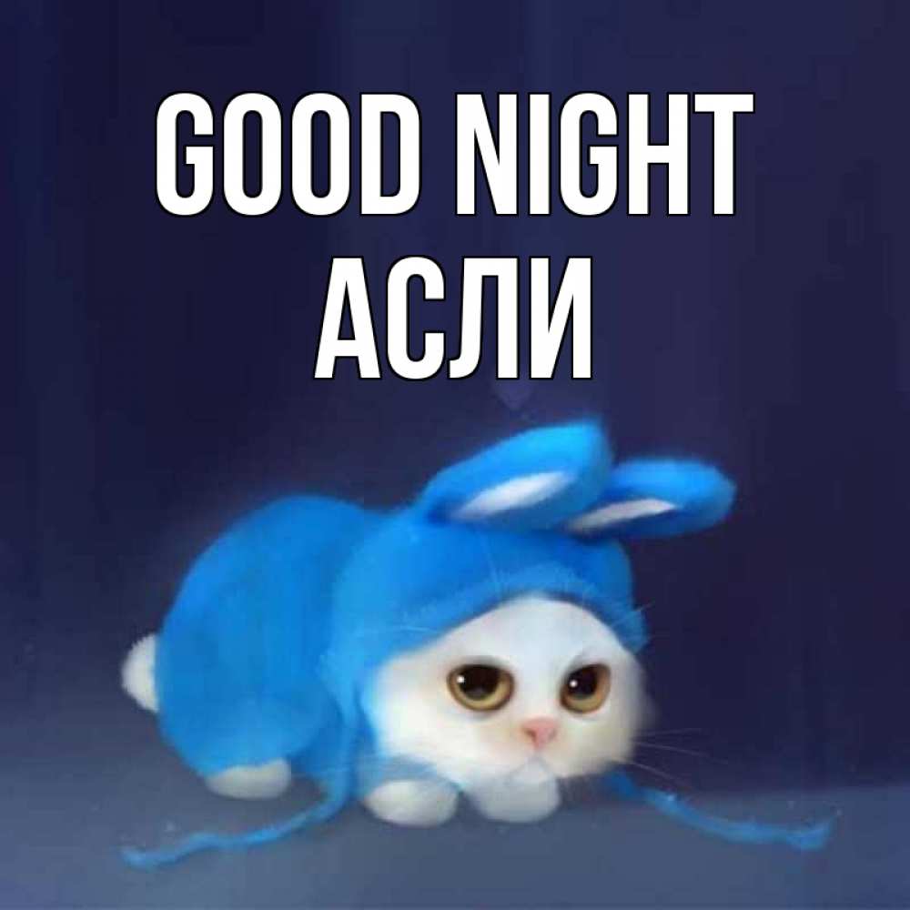 Greetings card с именем, АСЛИ Good night кот в голубом костюме кролика с ушками Greetings with text for free download 