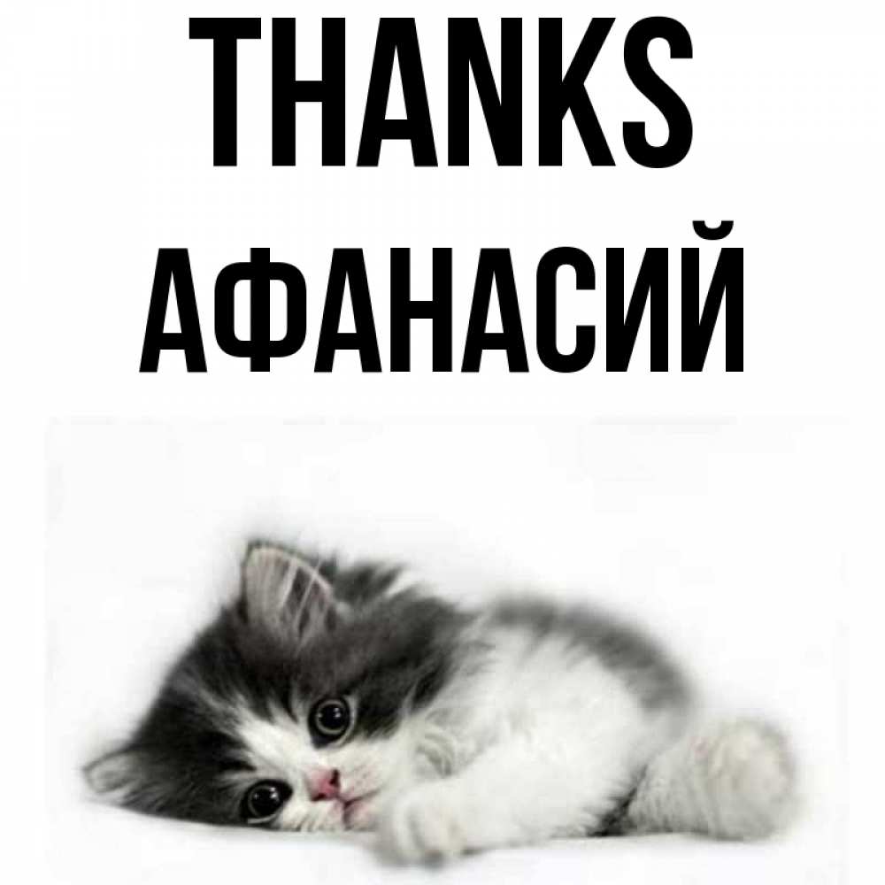 Greetings card с именем, Афанасий Thanks черный и белый кот Greetings with text for free download 