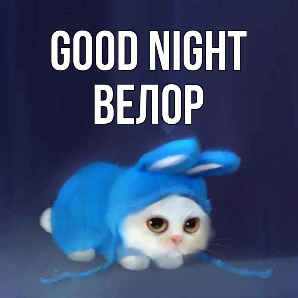 Greetings card с именем, Велор Good night кот в голубом костюме кролика с ушками Greetings with text for free download 
