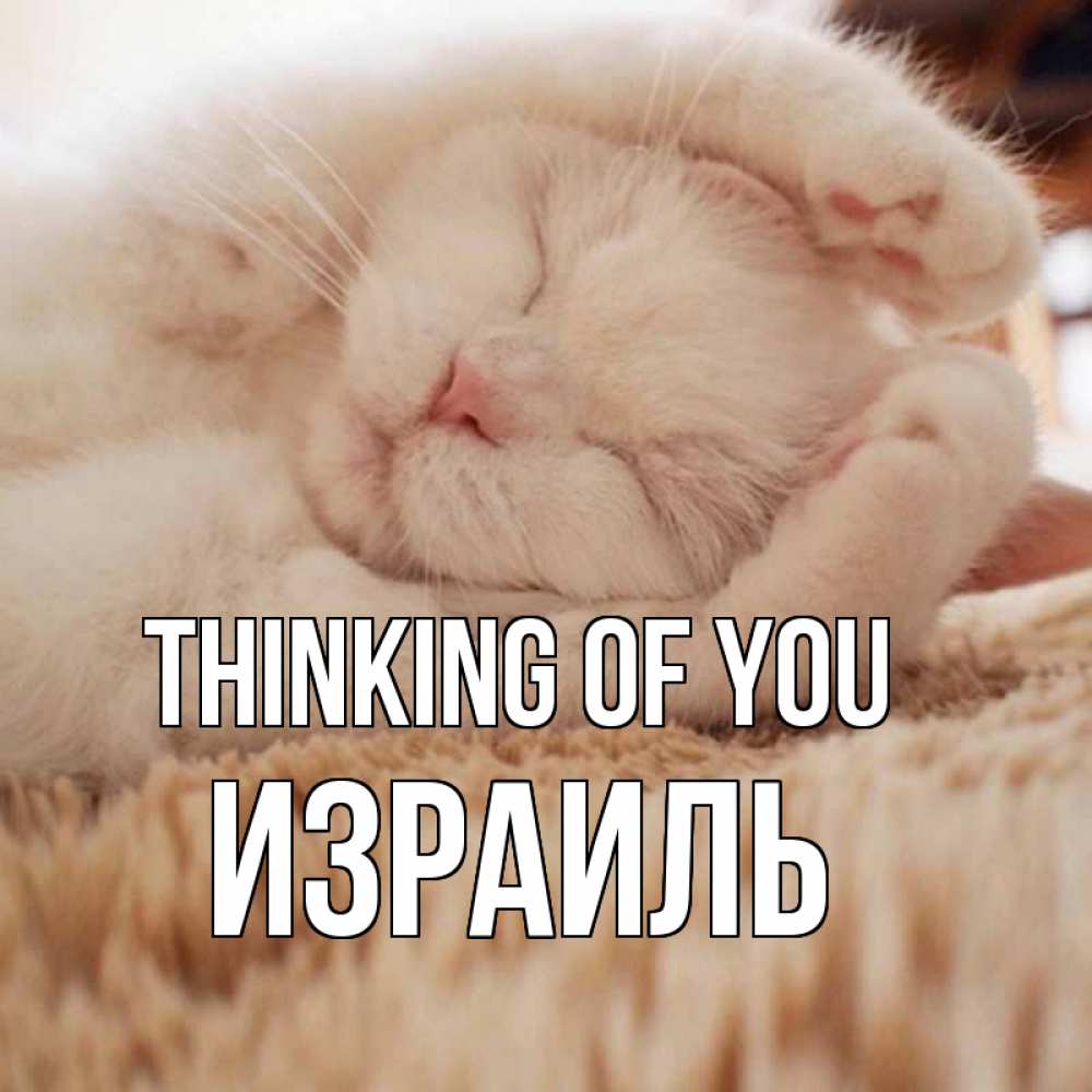 Greetings card с именем, Израиль Thinking of you для любимой девушки милота Greetings with text for free download 