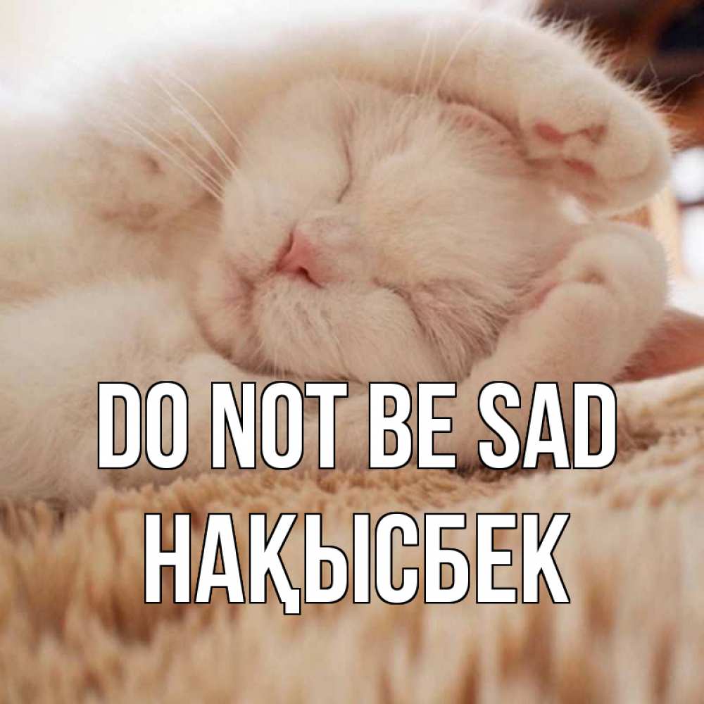 Greetings card с именем, НАҚЫСБЕК Do not be sad белый кот Greetings with text for free download 