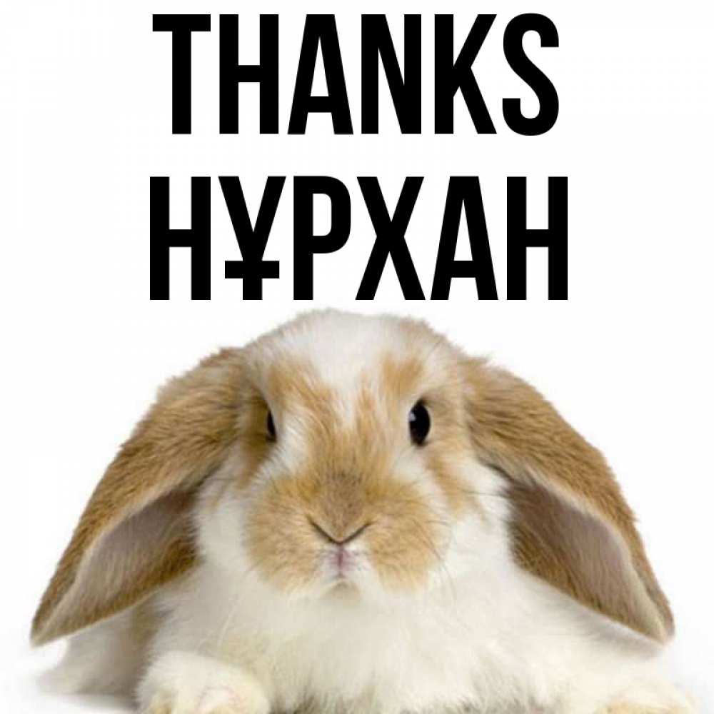 Greetings card с именем, НҰРХАН Thanks коричнево белый заяц Greetings with text for free download 