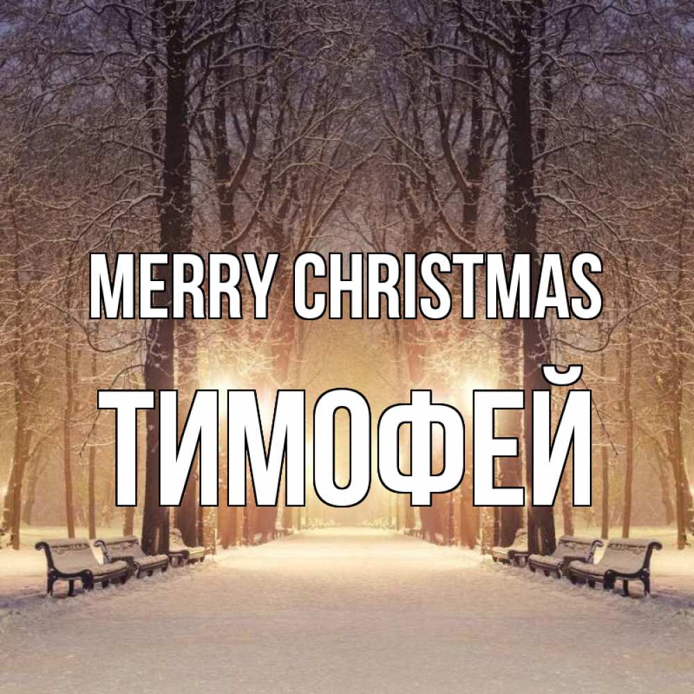 Greetings card с именем, Тимофей Merry Christmas зима, парк, фонарь, лес Greetings with text for free download 