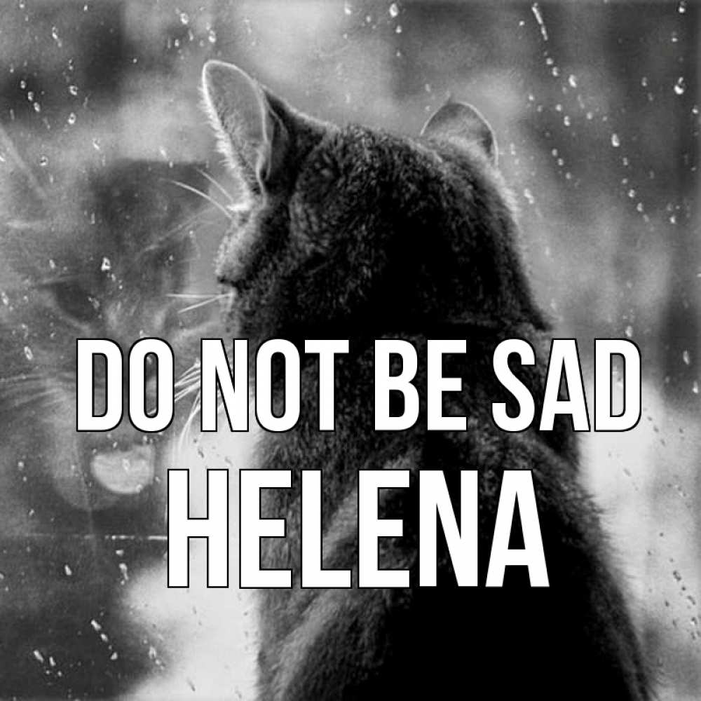 Greetings card с именем, Helena Do not be sad отражение кота 1 Greetings with text for free download 