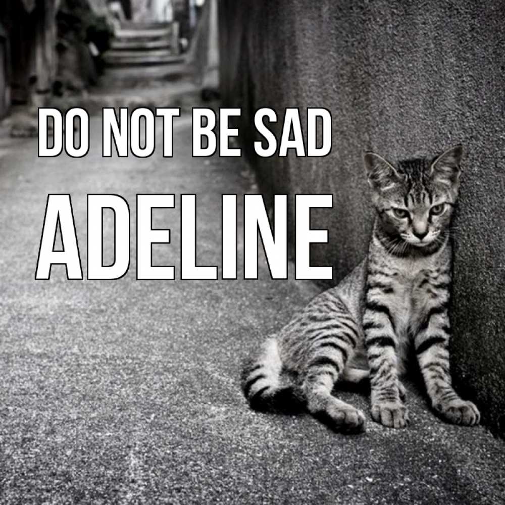 Greetings card с именем, Adeline Do not be sad скучающий котик Greetings with text for free download 