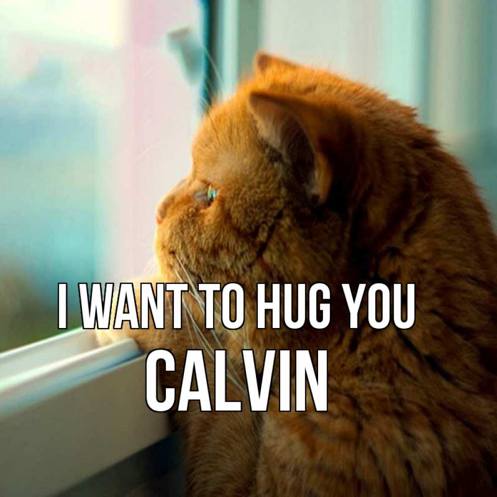 Greetings card с именем, Calvin I want to hug you большой огромный рыжий котяра Greetings with text for free download 