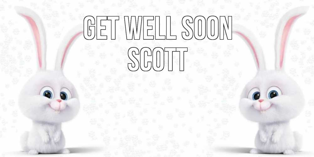 Greetings card с именем, Scott Get well soon не болей с зайцем Greetings with text for free download 