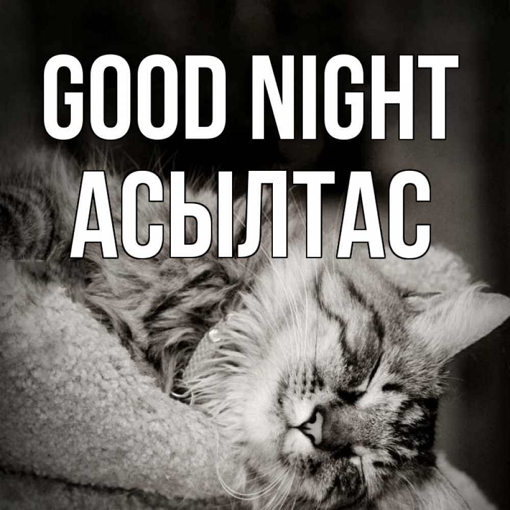 Greetings card с именем, АСЫЛТАС Good night котярик пушистый Greetings with text for free download 