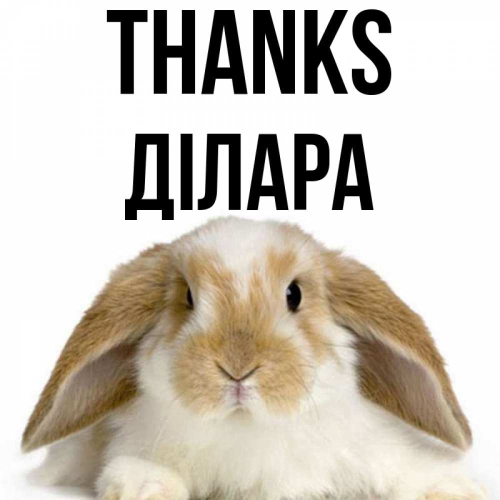 Greetings card с именем, ДІЛАРА Thanks коричнево белый заяц Greetings with text for free download 