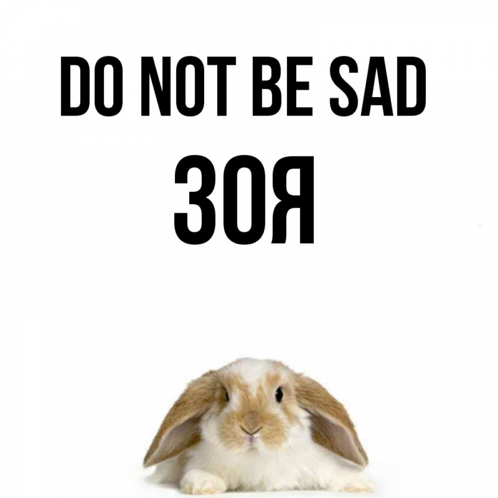 Greetings card с именем, Зоя Do not be sad коричнево белый заяц с большими ушками Greetings with text for free download 