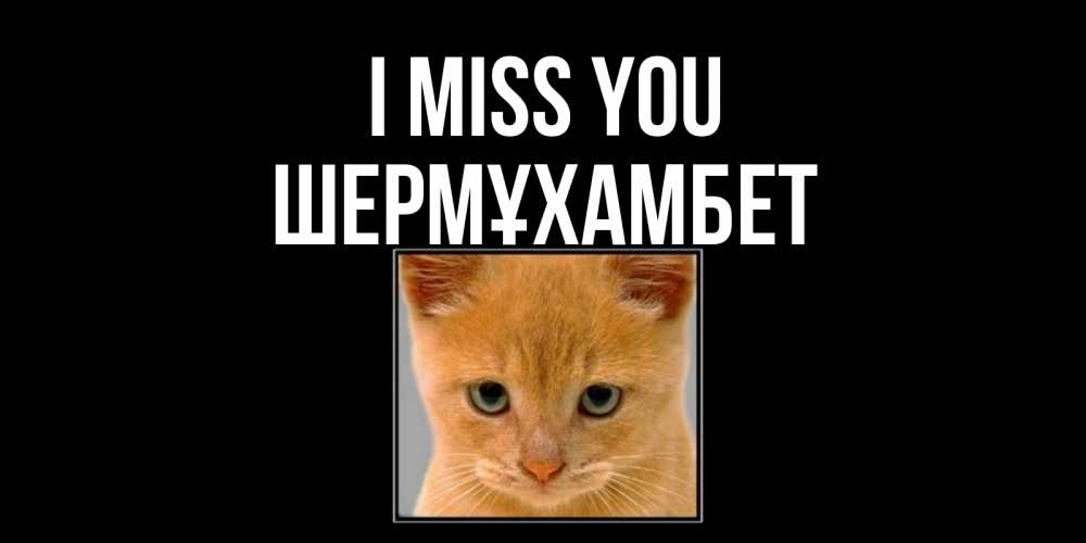 Greetings card с именем, ШЕРМҰХАМБЕТ I miss you открытки рыжий котенок скучает по тебе Greetings with text for free download 