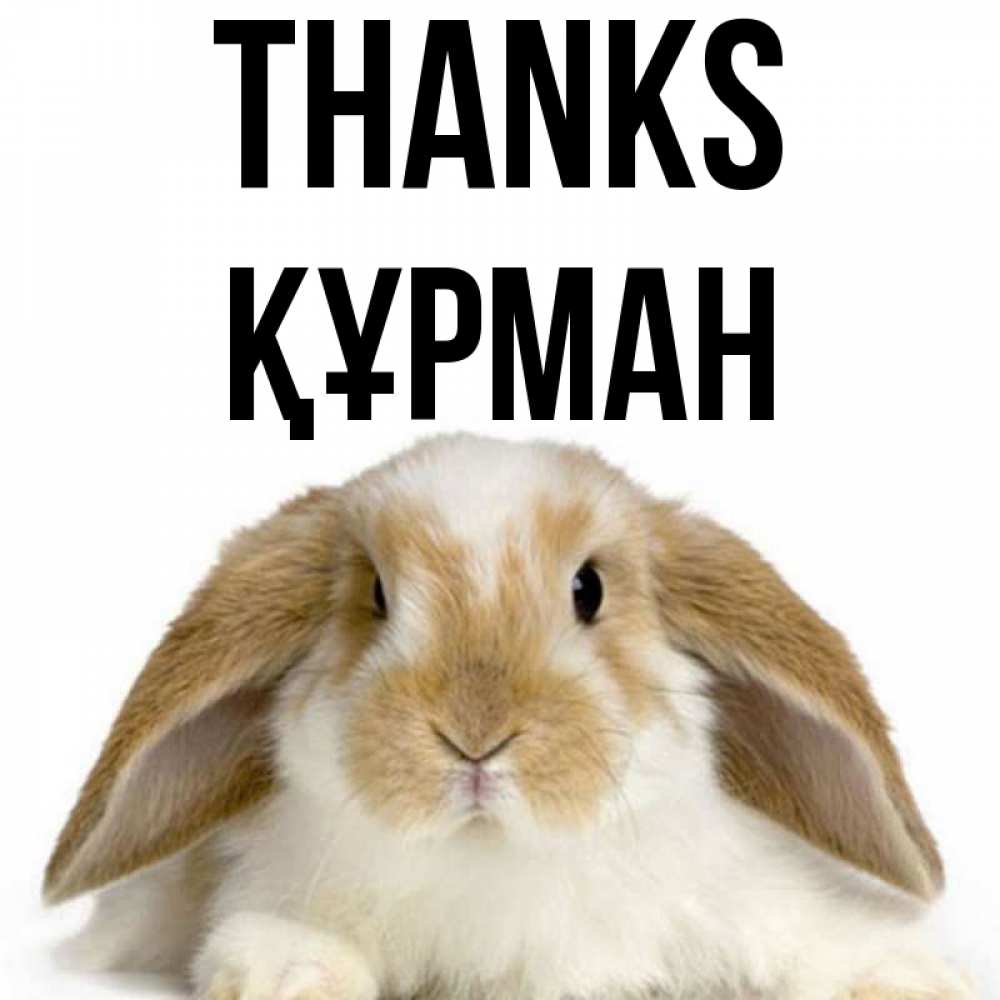 Greetings card с именем, ҚҰРМАН Thanks коричнево белый заяц Greetings with text for free download 