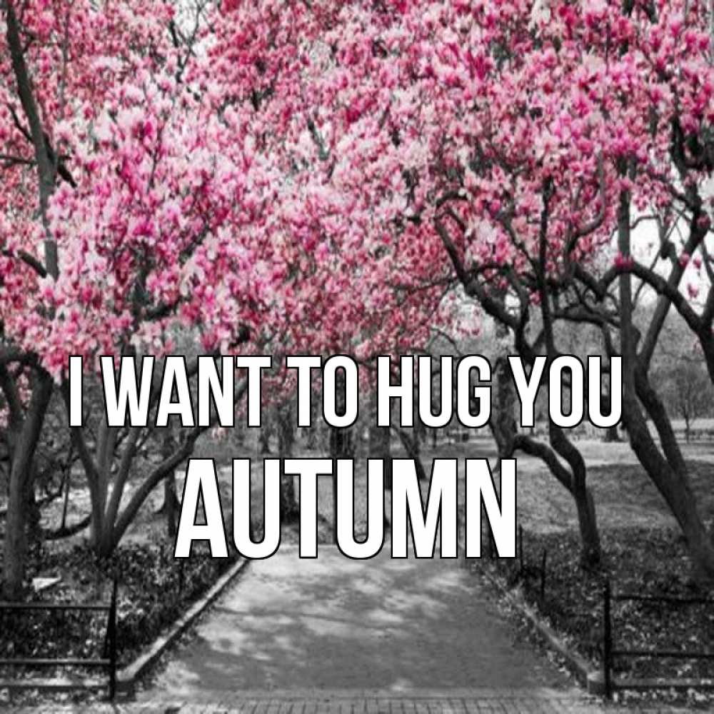 Greetings card с именем, Autumn I want to hug you обработанное фото Greetings with text for free download 