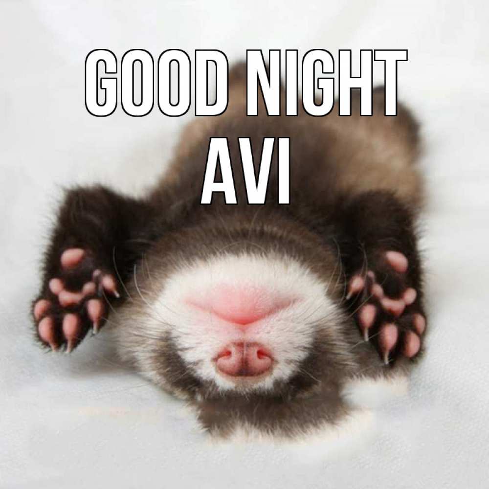 Greetings card с именем, Avi Good night зверек Greetings with text for free download 