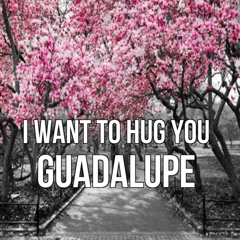 Greetings card с именем, Guadalupe I want to hug you обработанное фото Greetings with text for free download 