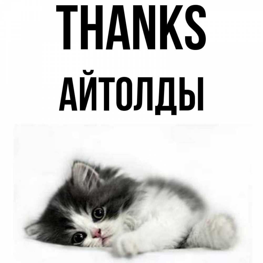 Greetings card с именем, АЙТОЛДЫ Thanks черный и белый кот Greetings with text for free download 