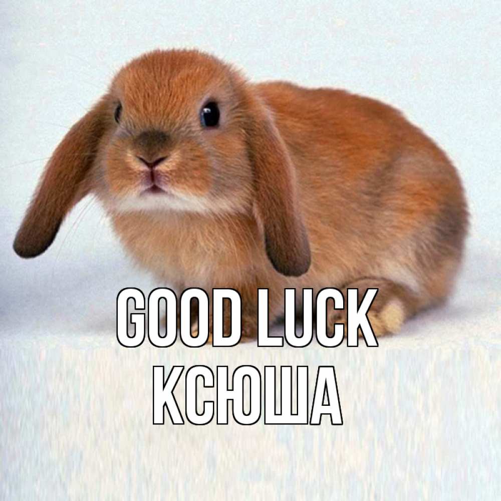 Greetings card с именем, Ксюша Good luck вставить текст в открытку по выбору Greetings with text for free download 