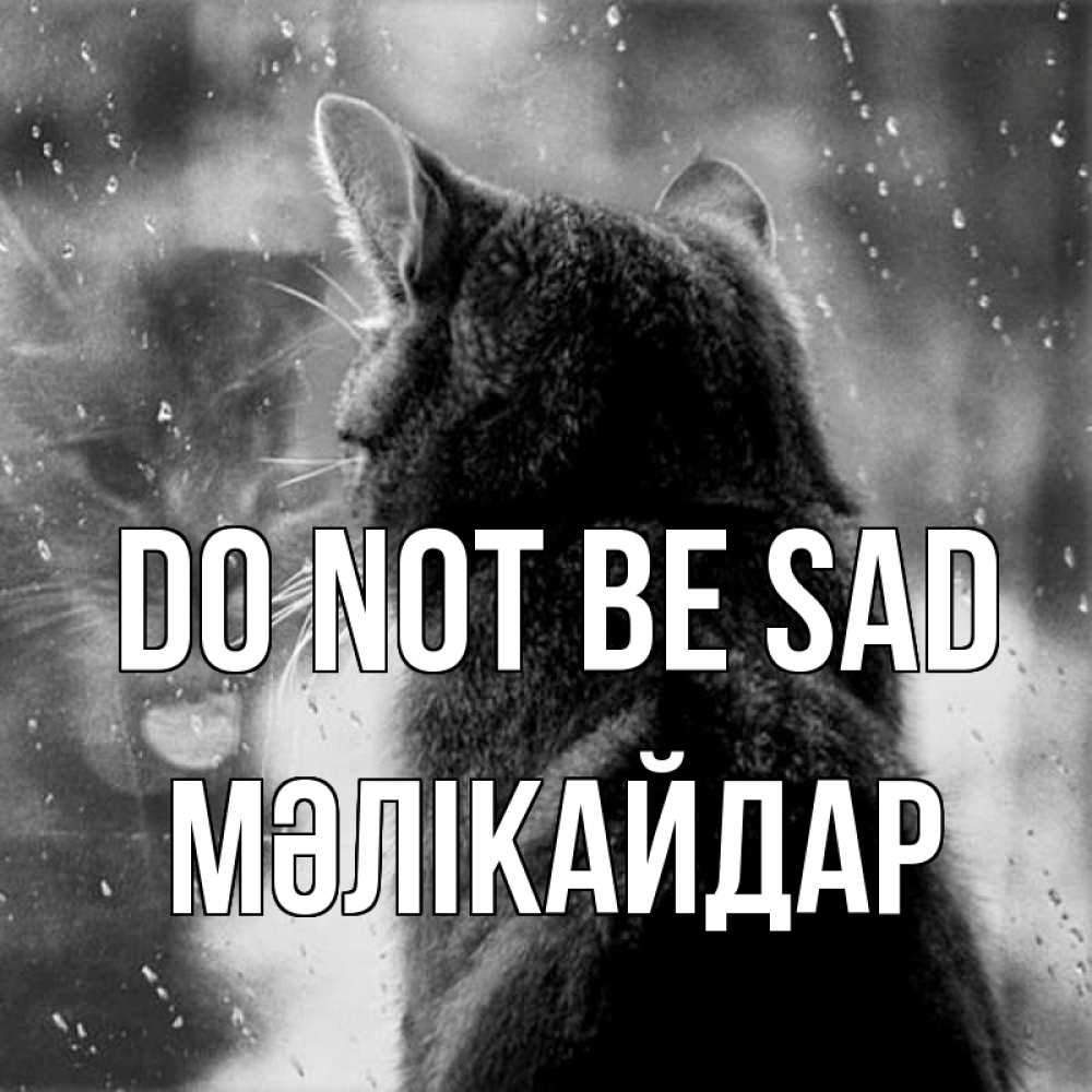 Greetings card с именем, МӘЛІКАЙДАР Do not be sad отражение кота 1 Greetings with text for free download 