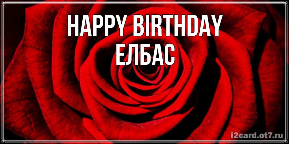 Greetings card с именем, Елбас Happy Birthday алая роза Greetings with text for free download 