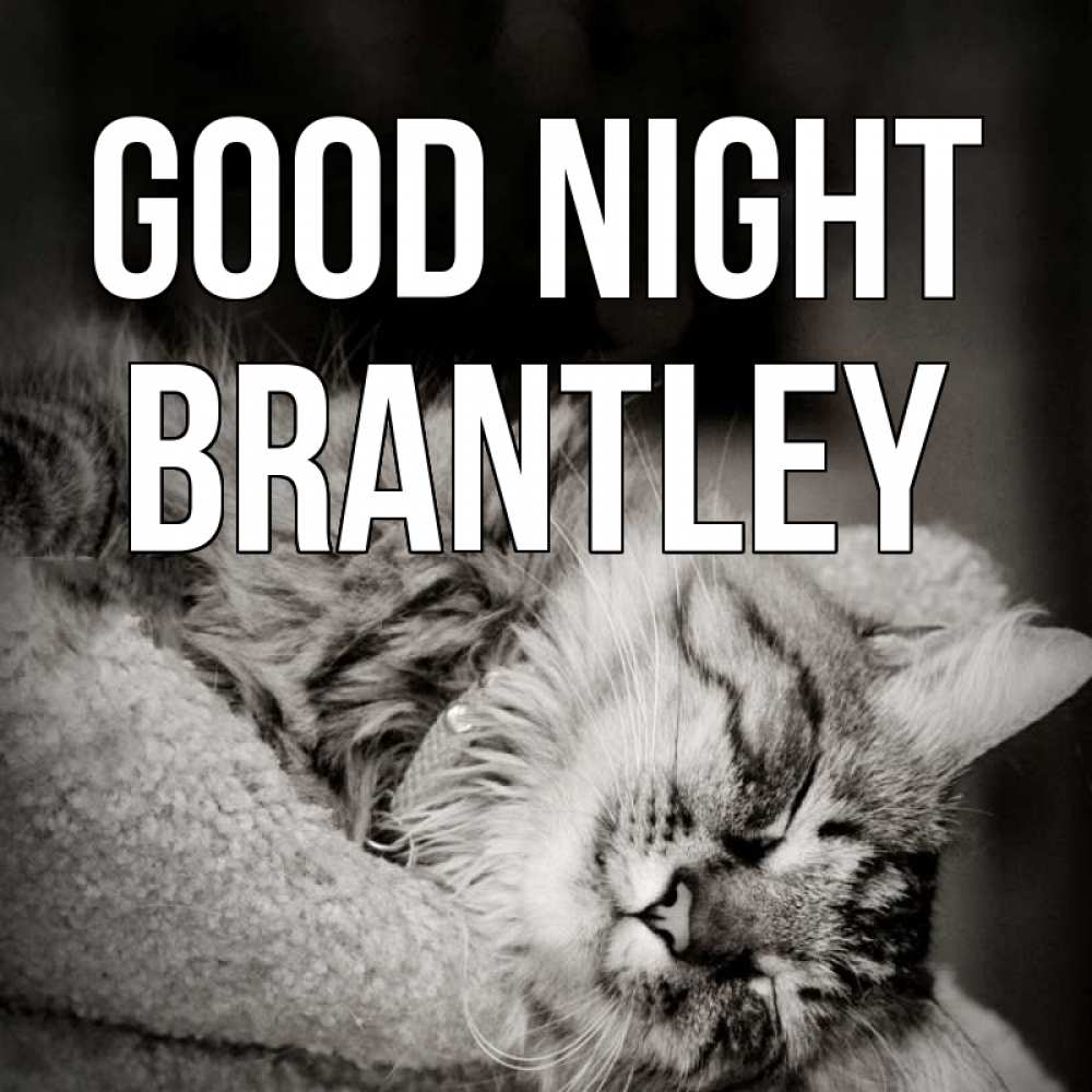 Greetings card с именем, Brantley Good night котярик пушистый Greetings with text for free download 