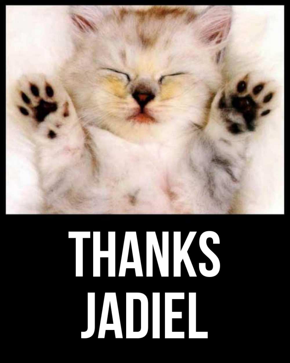 Greetings card с именем, Jadiel Thanks маленький котенок Greetings with text for free download 