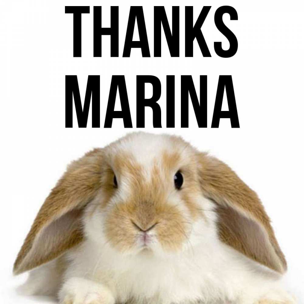 Greetings card с именем, Marina Thanks коричнево белый заяц Greetings with text for free download 