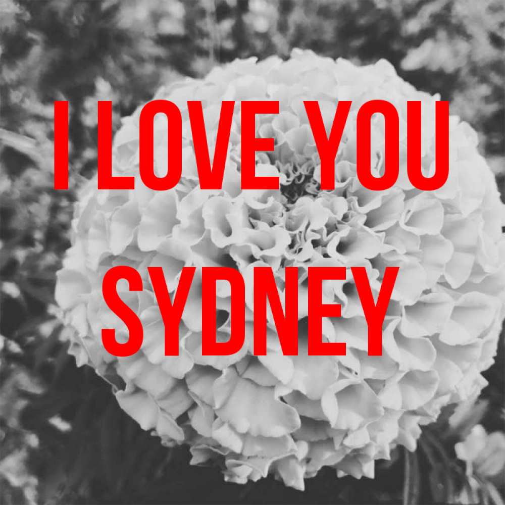 Greetings card с именем, Sydney I love you подпись Greetings with text for free download 