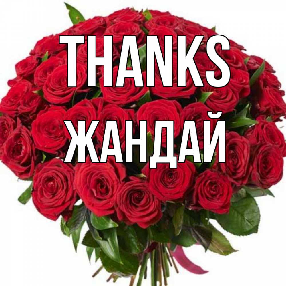 Greetings card с именем, Жандай Thanks букет красных роз Greetings with text for free download 